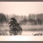 Winterlandschaft