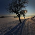 Winterlandschaft