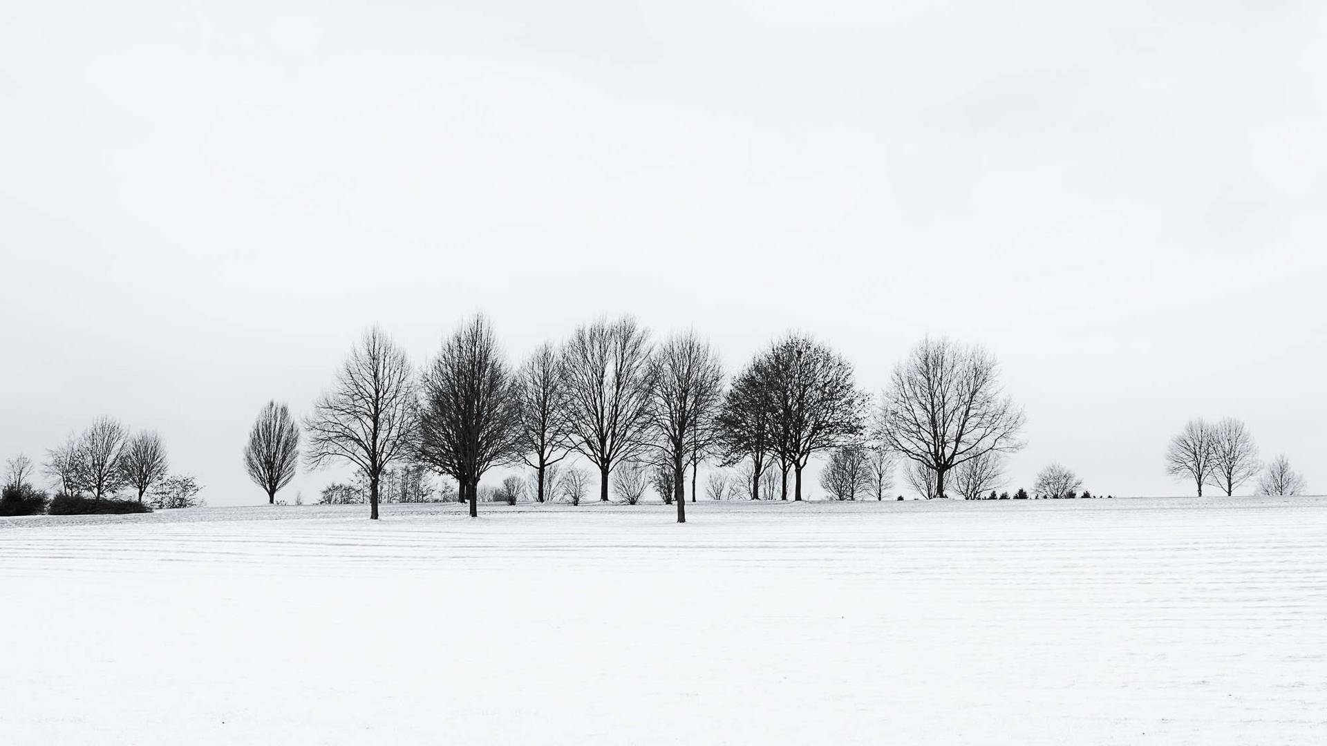 _winterlandschaft_