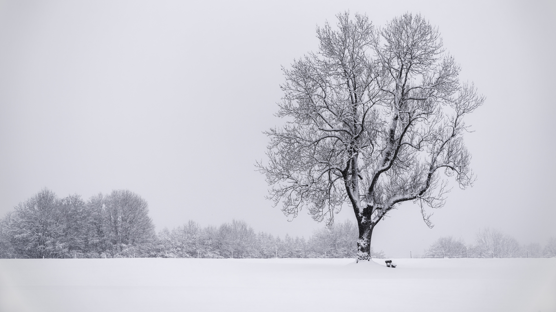 + + + + + Winterlandschaft + + + + +