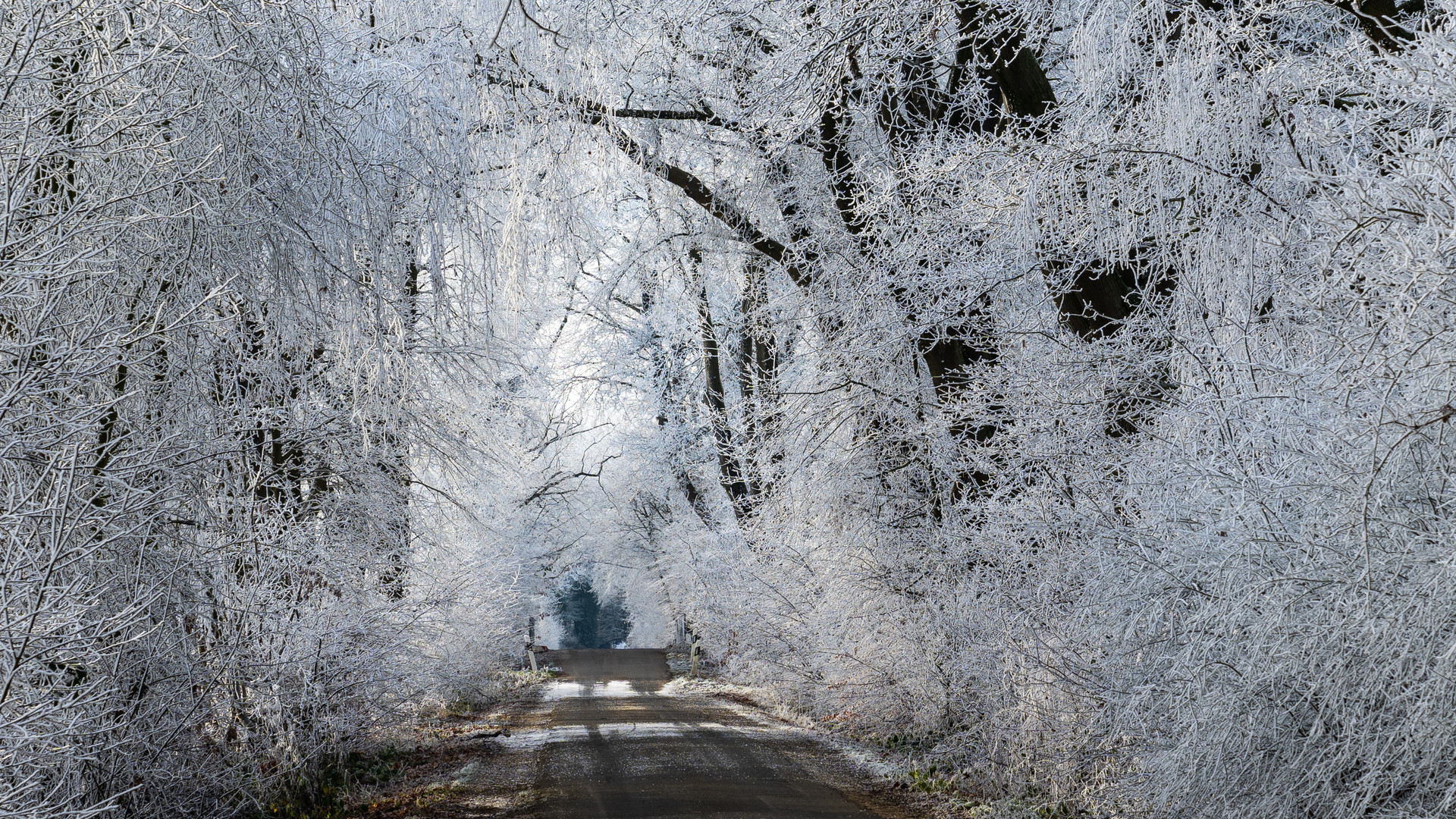 Winterlandschaft