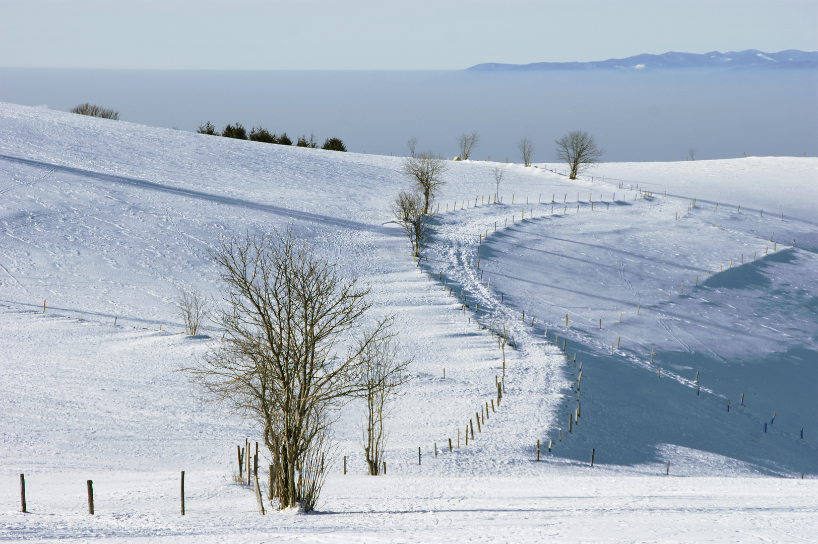 Winterlandschaft