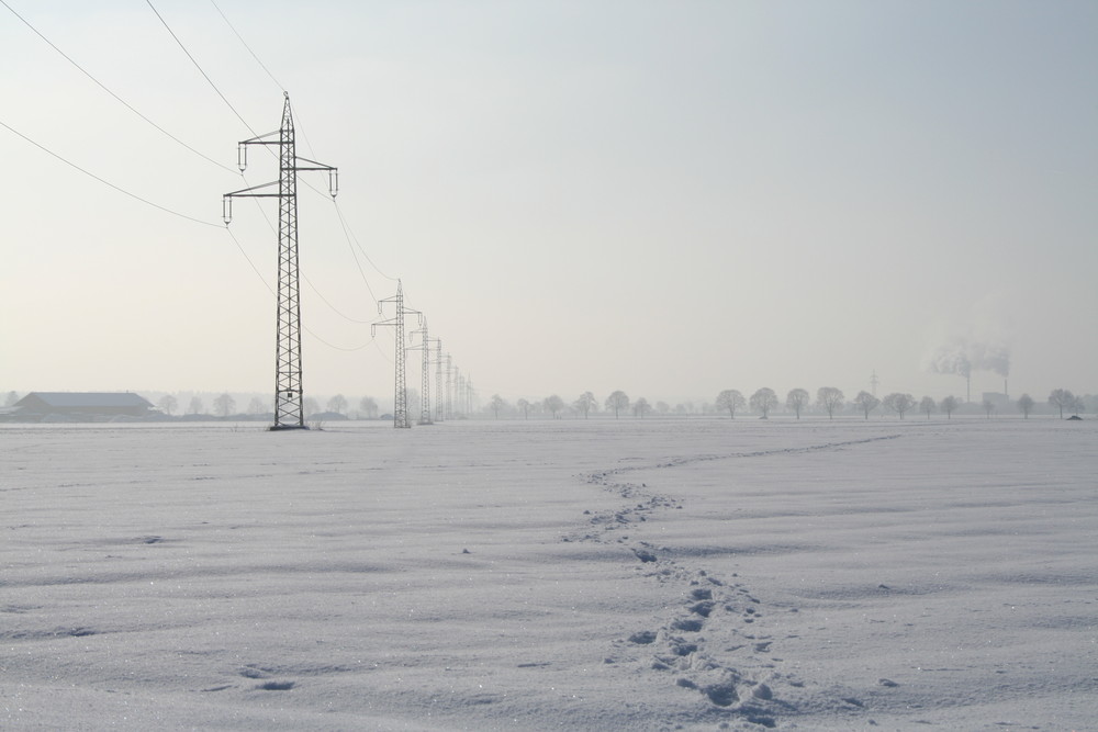 Winterlandschaft