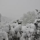 Winterlandschaft 09: Schneefall