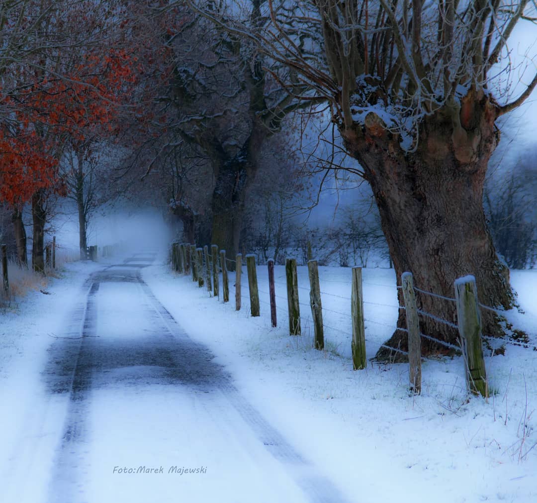 Winterlandschaft 