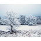 Winterlandschaft