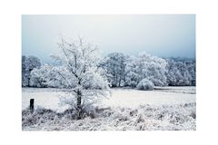 Winterlandschaft