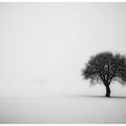 Winterlandschaft 