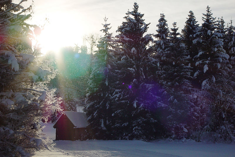 Winterlandschaft