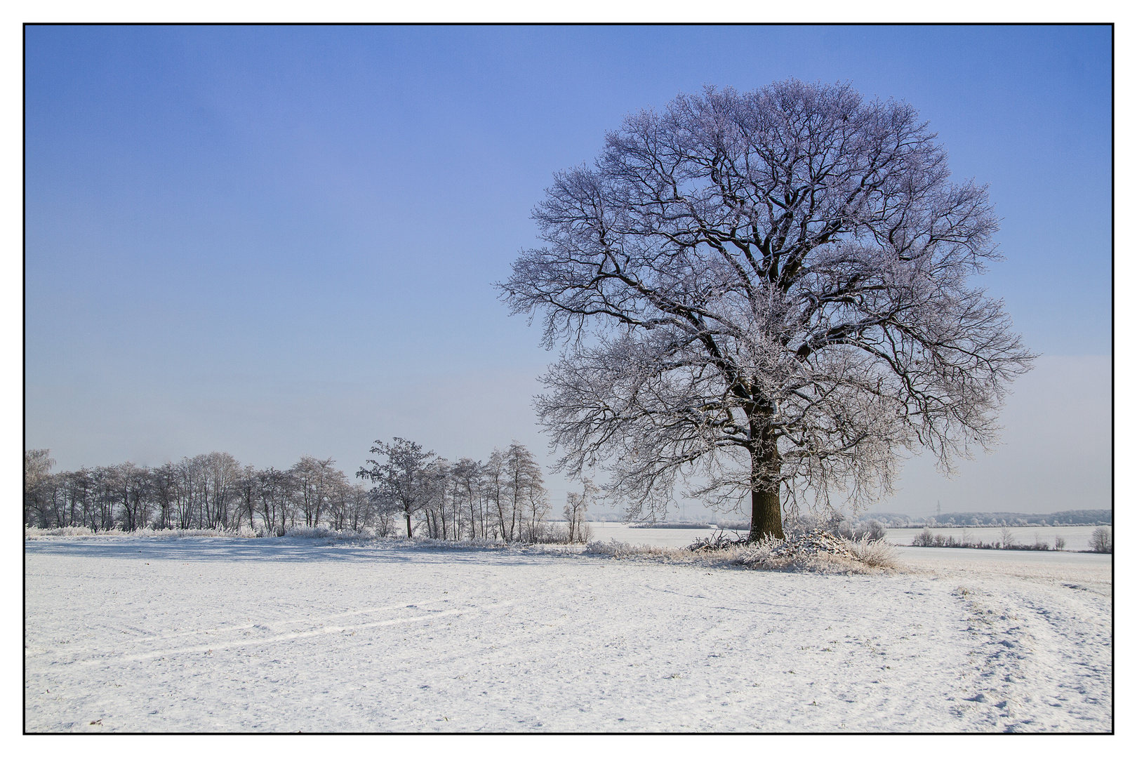 Winterlandschaft