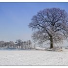 Winterlandschaft