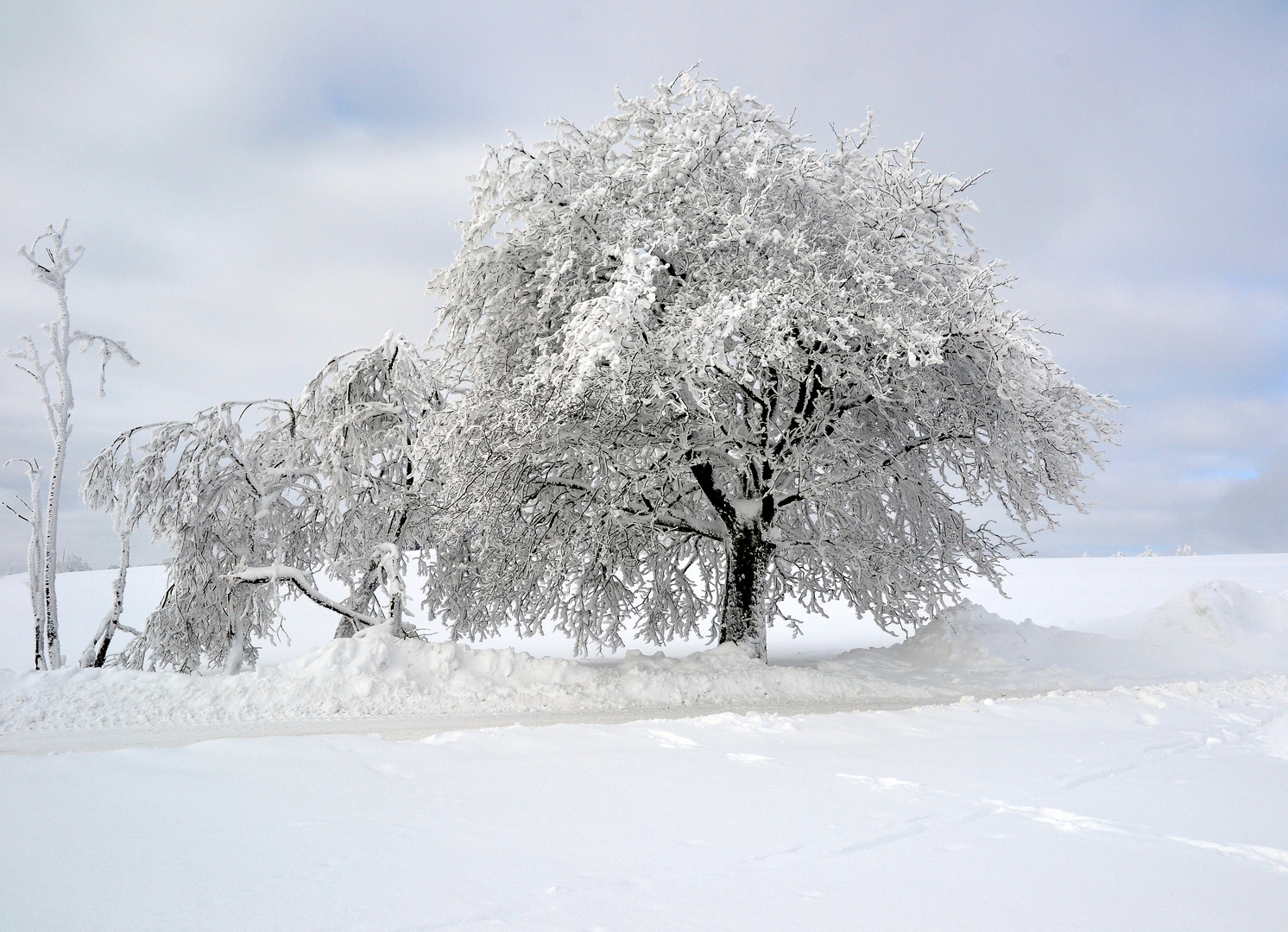 Winterlandschaft