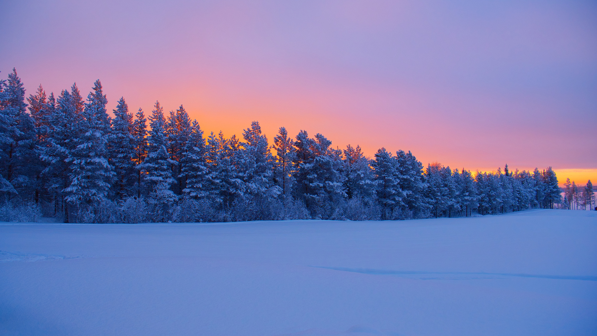 Winterlandschaft