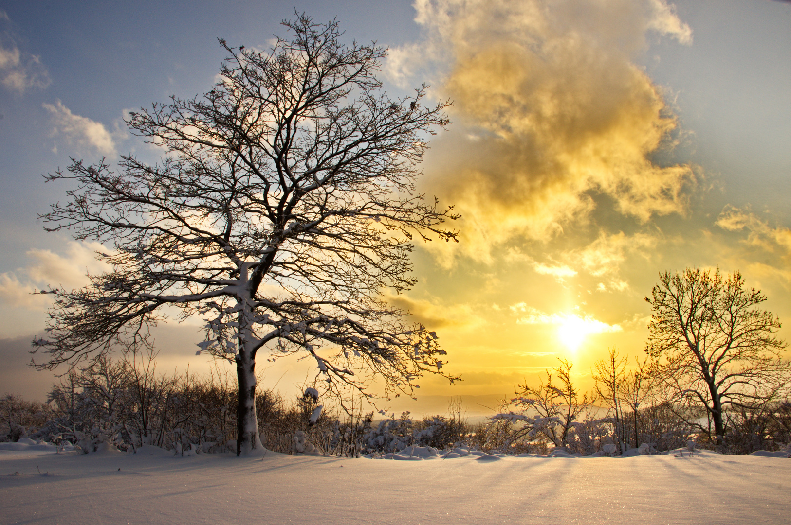 Winterlandschaft