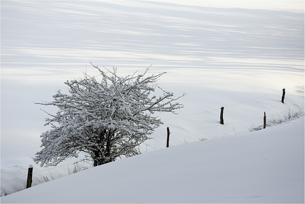 Winterlandschaft