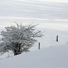 Winterlandschaft