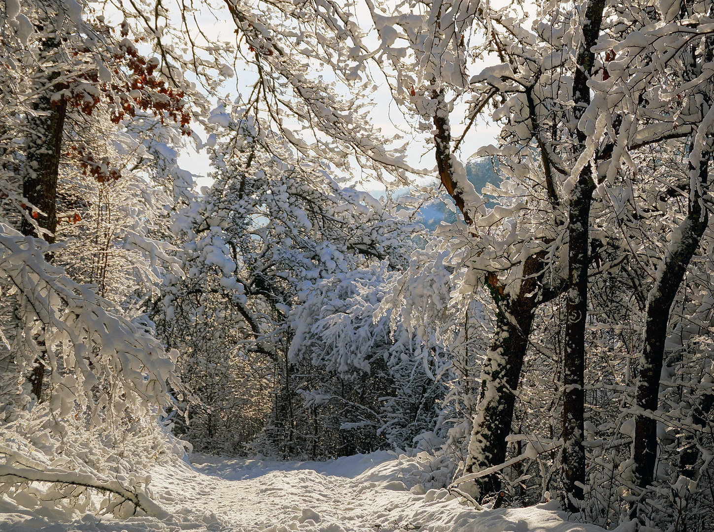 Winterlandschaft