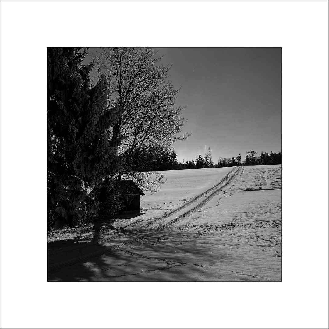 Winterlandschaft