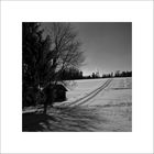 Winterlandschaft