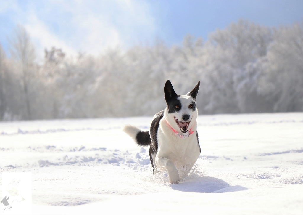 Winterlandschaft