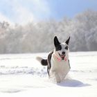 Winterlandschaft