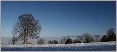 Winterlandschaft