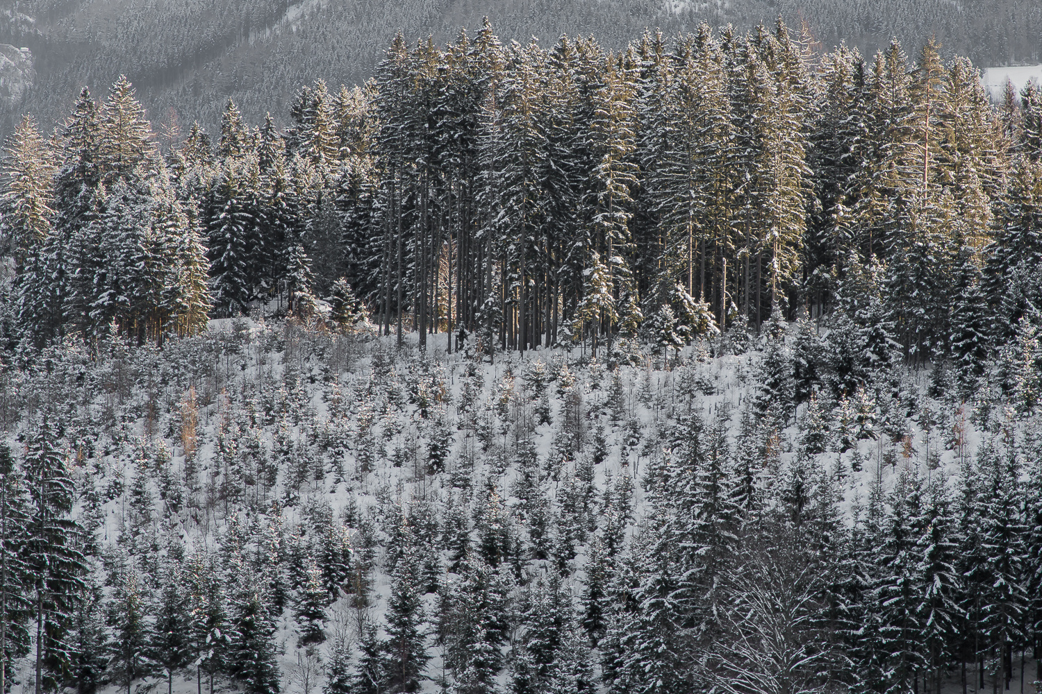 Winterlandschaft