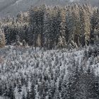 Winterlandschaft