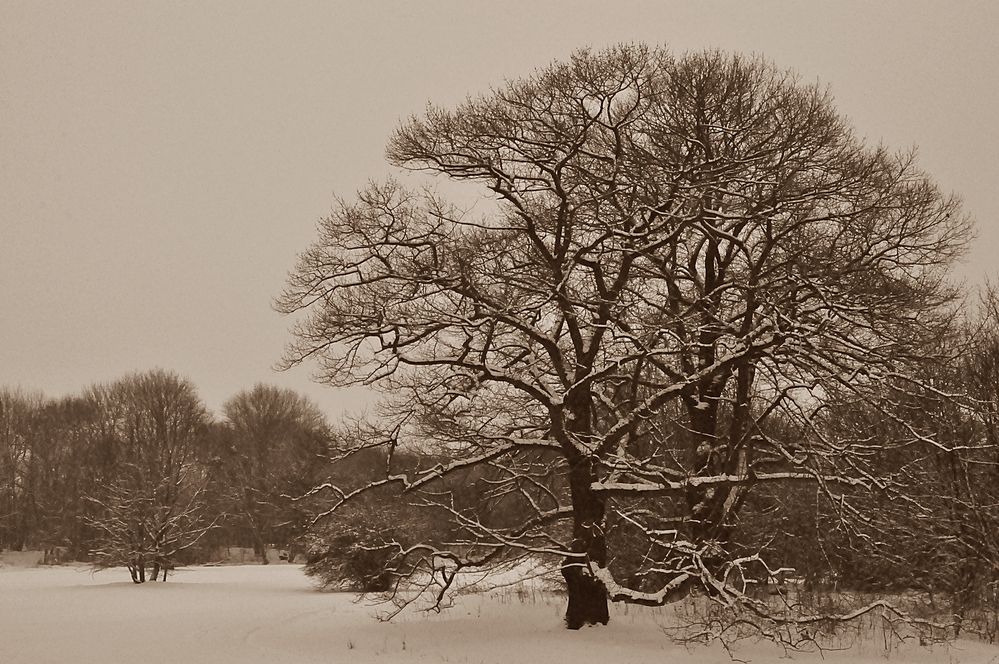 Winterlandschaft *