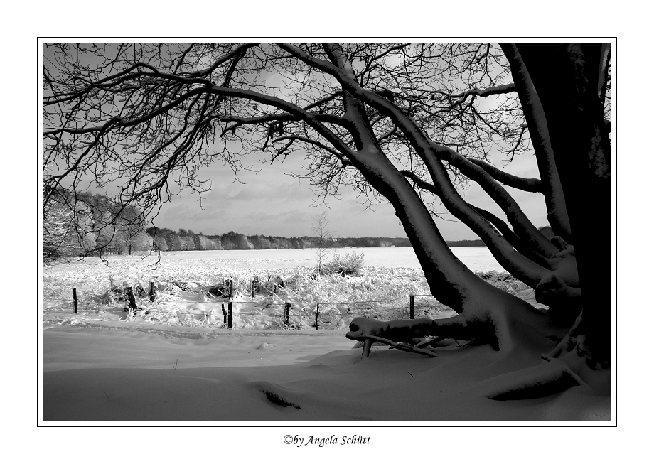 ~ Winterlandschaft ~