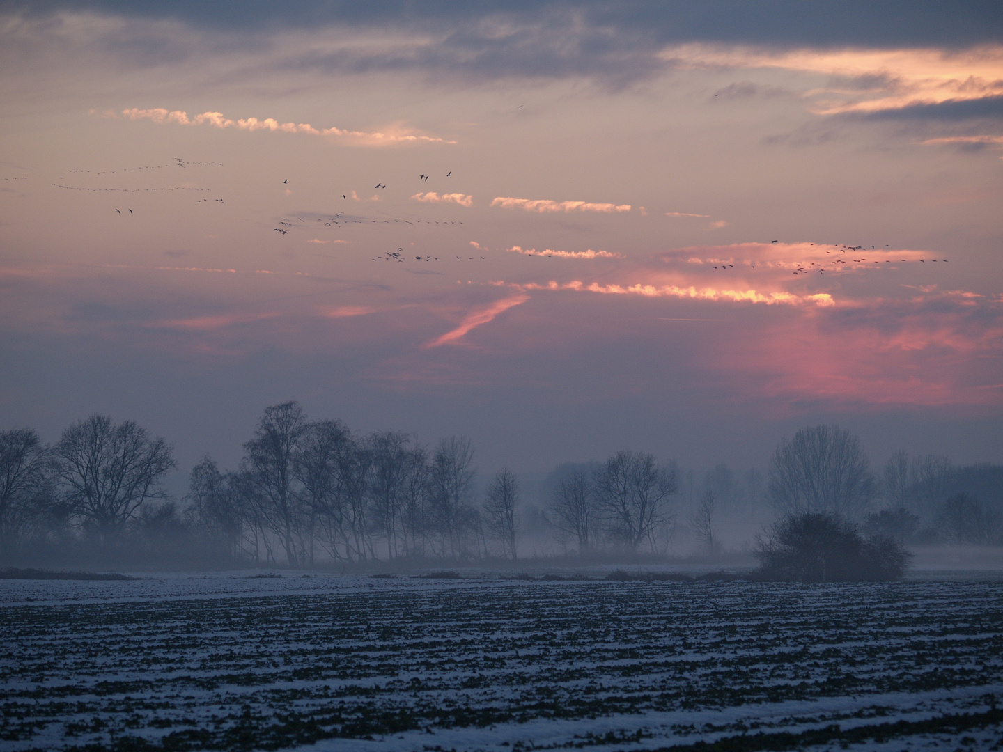 Winterlandschaft 1