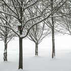 Winterlandschaft 1