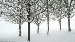 Winterlandschaft 1