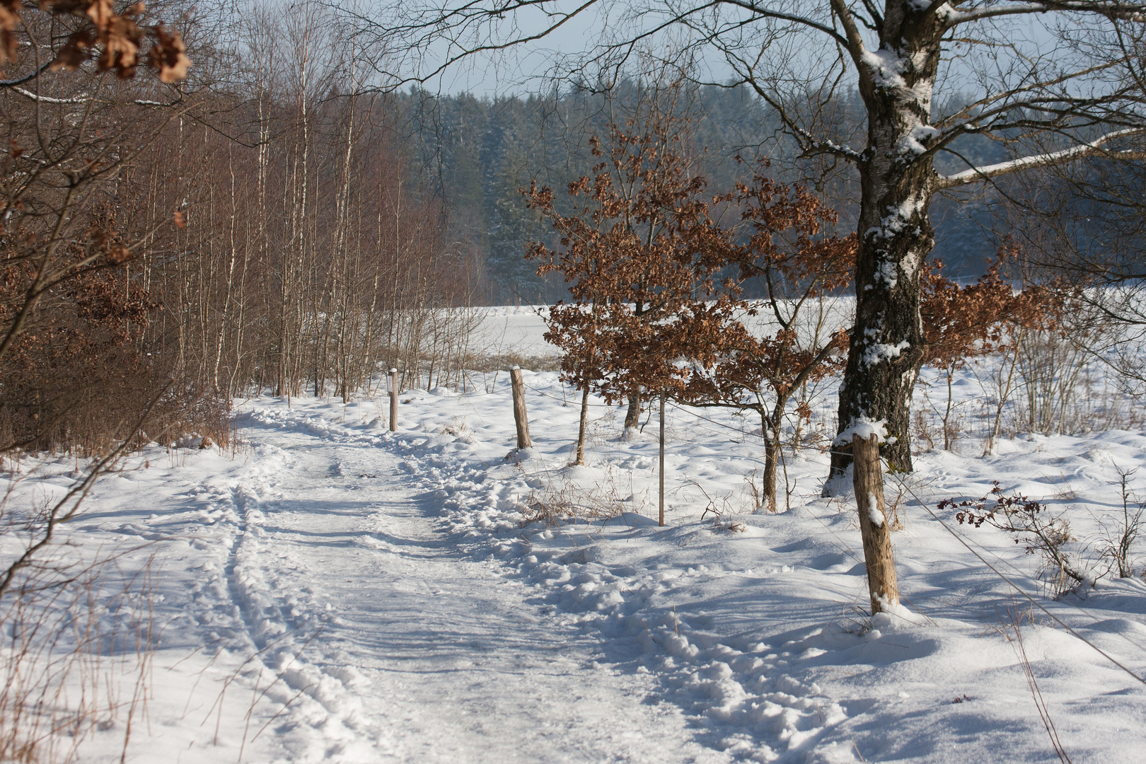 Winterlandschaft 1