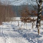 Winterlandschaft 1