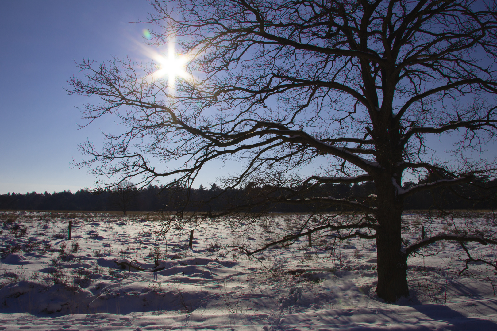 Winterlandschaft 1