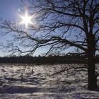 Winterlandschaft 1