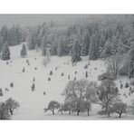 Winterlandschaft (1)