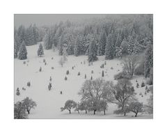 Winterlandschaft (1)