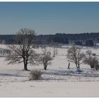 Winterlandschaft #1