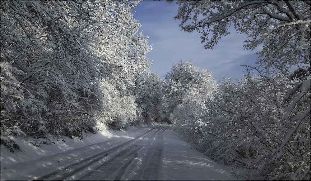 Winterlandschaft 1