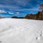 Winterlandschaft - 1