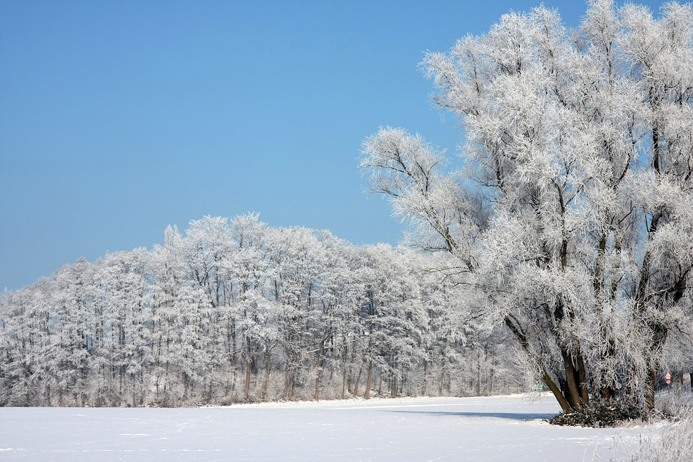 Winterlandschaft 1