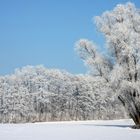 Winterlandschaft 1