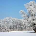 Winterlandschaft 1