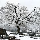 Winterlandschaft 1 am 2. April auf der Erpeler Ley am Rhein