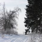 Winterlandschaft 1