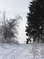 Winterlandschaft 1