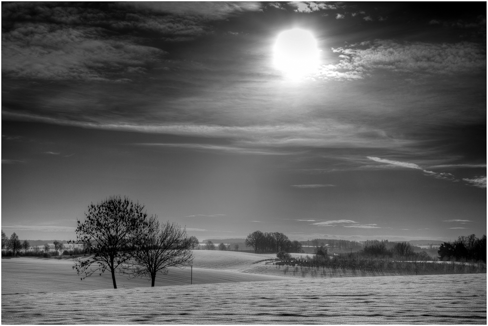 Winterlandschaft (1)