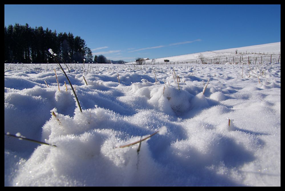 Winterlandschaft 1